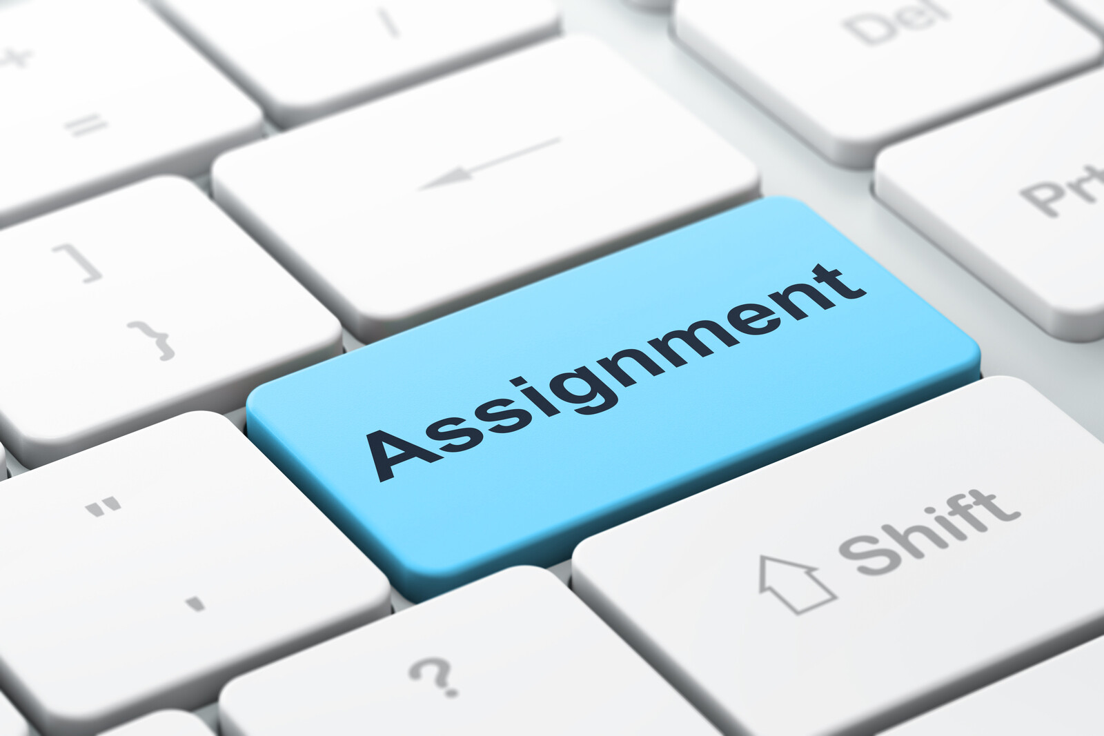 assignment assignment
